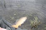 Algemene Ledenvergadering 17-02-2022 INFO & AGENDA